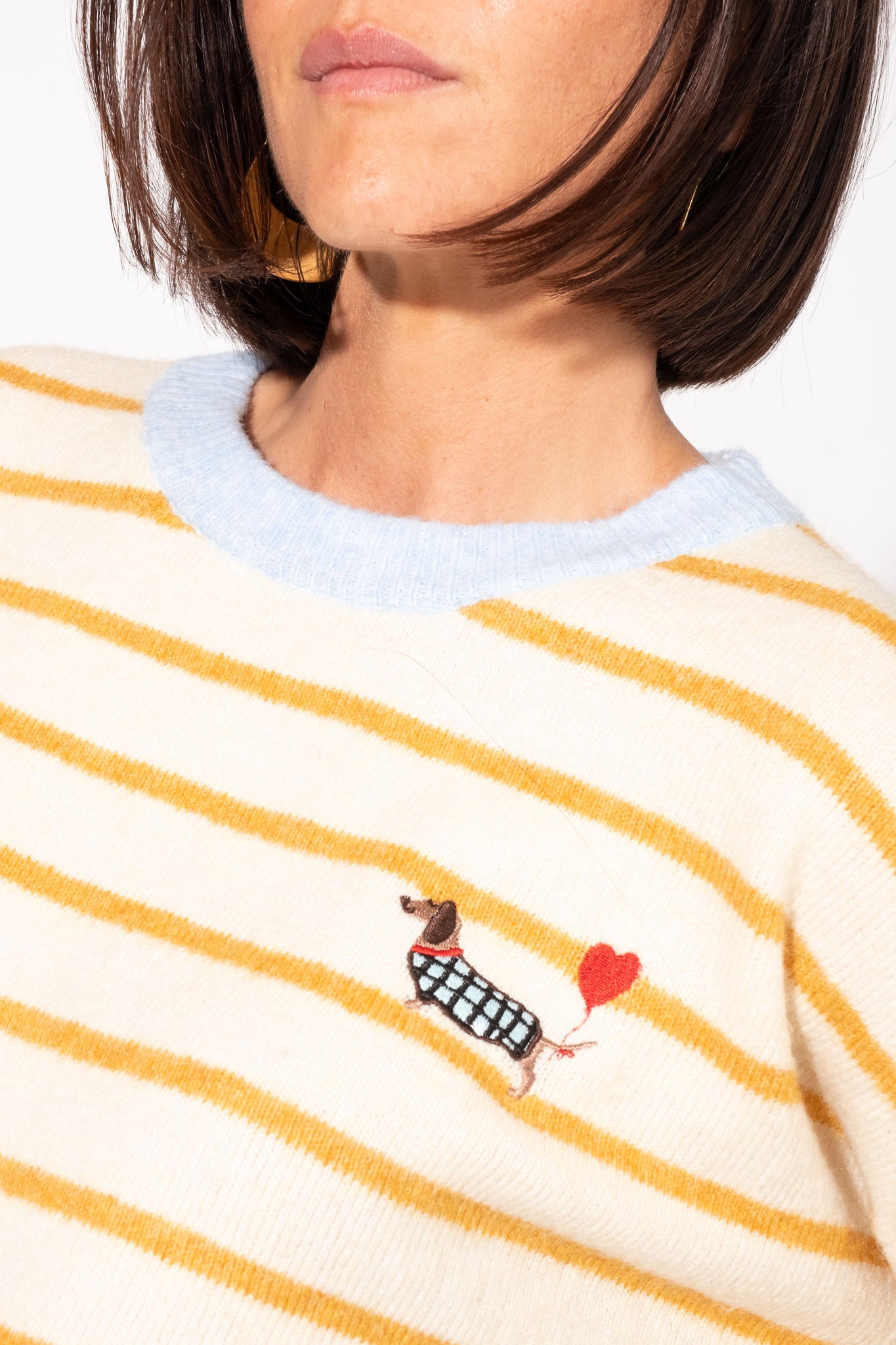 Pull Bassotto